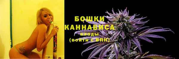 2c-b Инсар