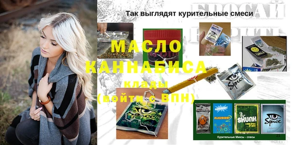 2c-b Инсар