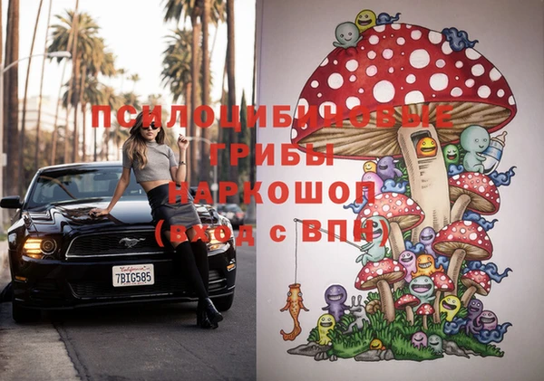 спиды Иннополис