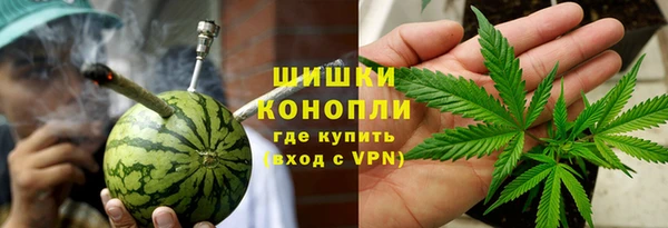 2c-b Инсар