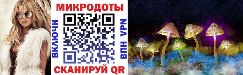 Купить закладки  Обоянь  Псилоцибиновые грибы GOLDEN TEACHER 